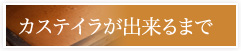 �J�X�e�C��(�J�X�e��)���o����܂�